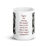 The Tiger is the Largest Cat in The World White Glossy Mug