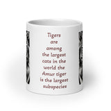 The Tiger is the Largest Cat in The World White Glossy Mug