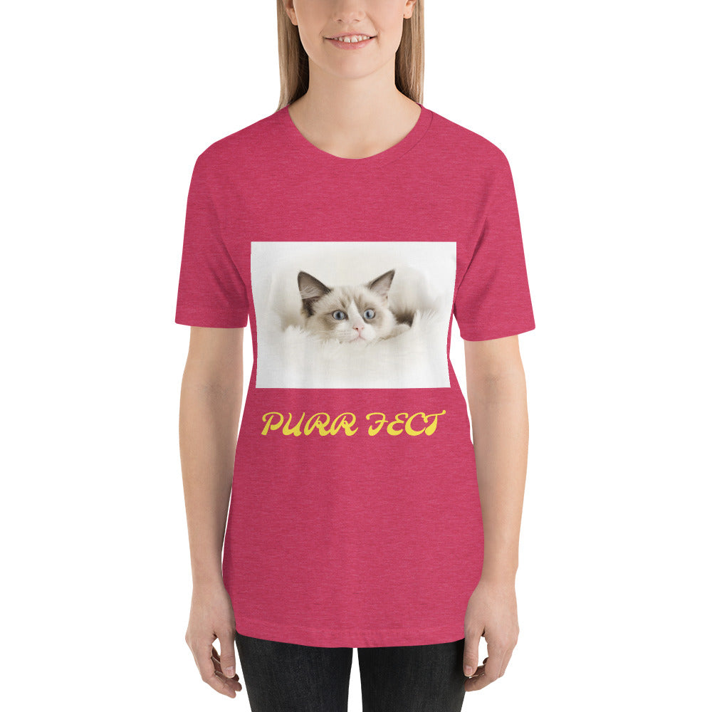 Bella + Canvas 3001 Short-Sleeve Unisex T-Shirt