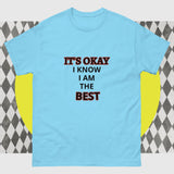 Unisex Classic Gildan 5000 T-Shirt I Know I am the Best