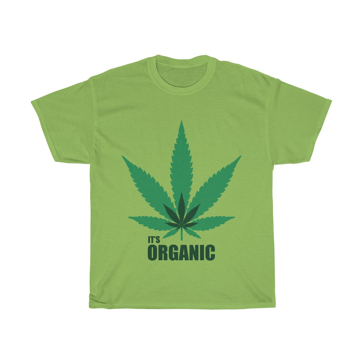 Unisex Heavy Cotton Tee Gildan 5000