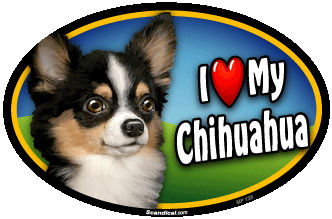 I Love My Chihuahua Pet Magnet