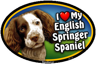 I Love My English Springer Spaniel Pet Magnet