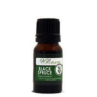 Black Spruce Picea Mariana