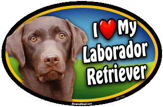 I Love My Labrador Retriever Pet Magnet