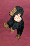 Beanie Baby Original Congo Style 4160