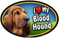 I Love My Blood Hound Pet Magnet