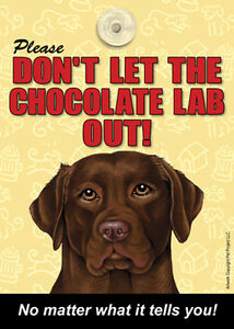 Please Don't Let the Chocolate Lab Out No Matter What it Tells You