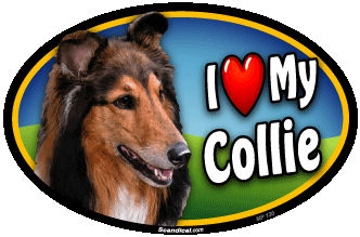 I Love My Collie Pet Magnet