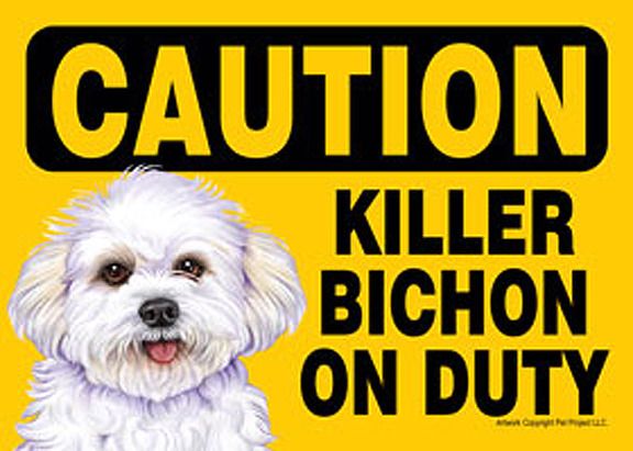 Caution Killer Bichon On Duty