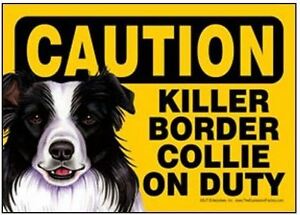 Caution Killer Border Collie On Duty