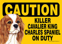 Caution Killer Cavalier King Charles Spaniel On Duty