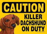 Caution Killer Dachshund On Duty