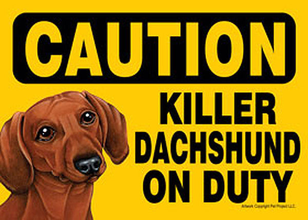 Caution Killer Dachshund On Duty