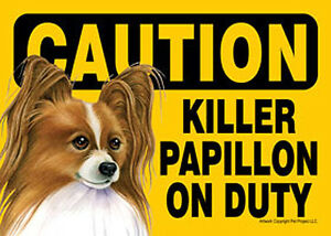 Caution Killer Papillon On Duty