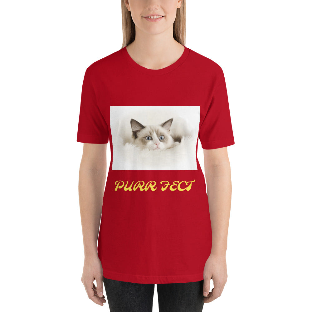 Bella + Canvas 3001 Short-Sleeve Unisex T-Shirt