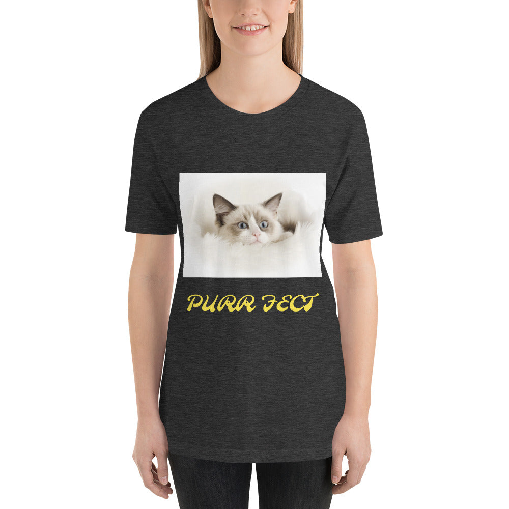 Bella + Canvas 3001 Short-Sleeve Unisex T-Shirt