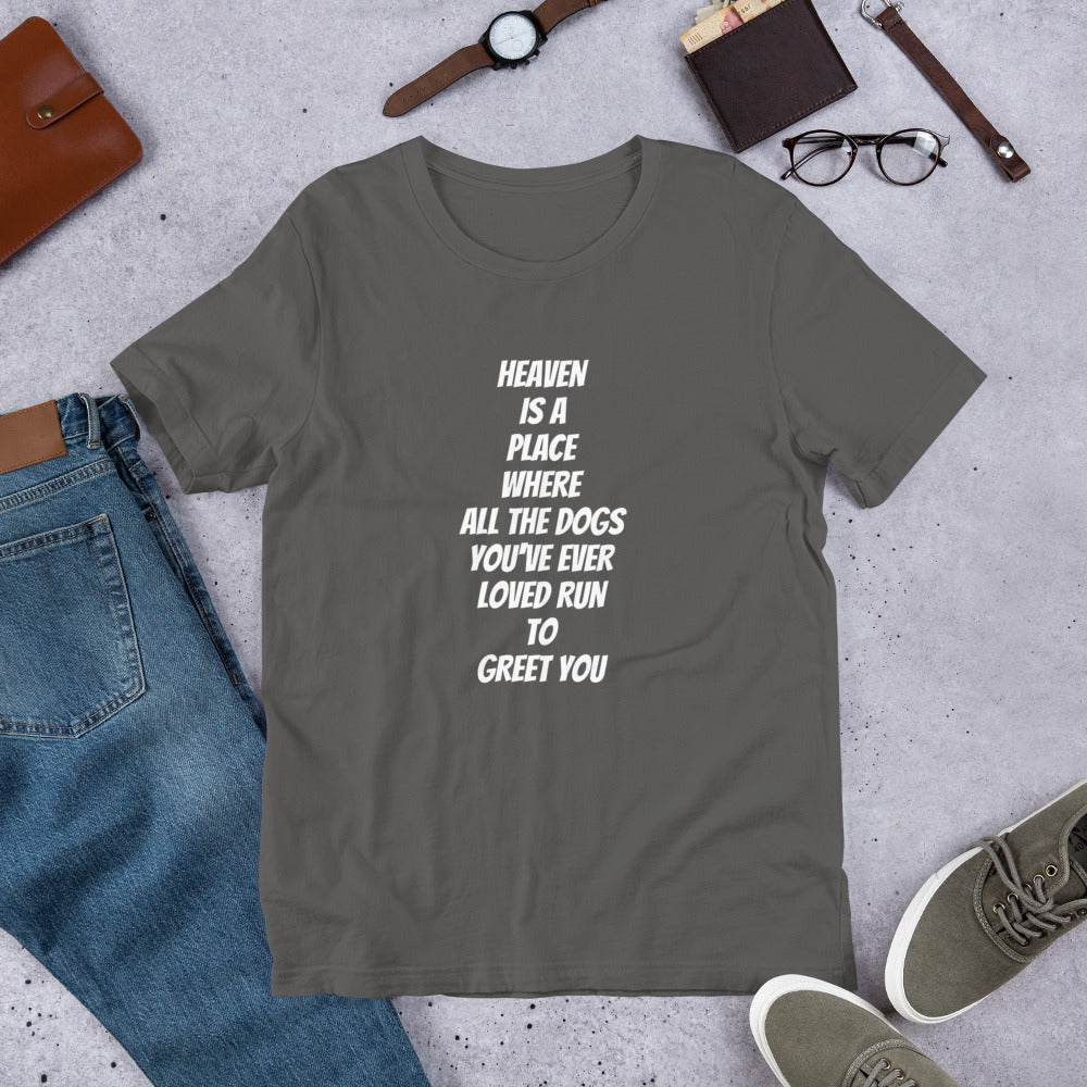Unisex Premium T-Shirt | Bella + Canvas 3001