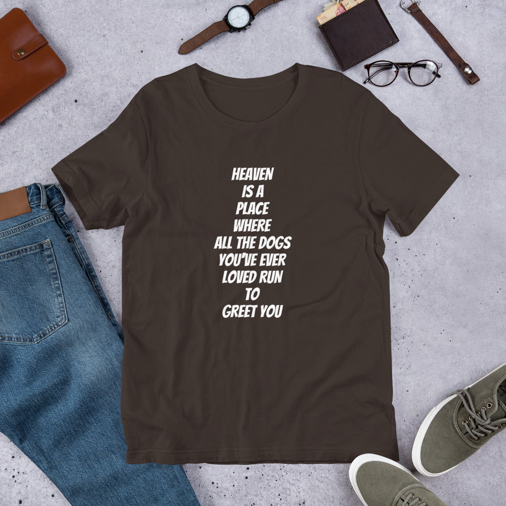 Unisex Premium T-Shirt | Bella + Canvas 3001