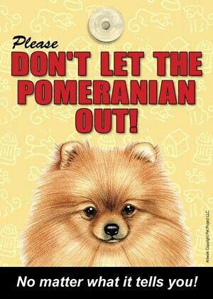 Please Don't Let the Pomeranian Out No Matter What it Tells You