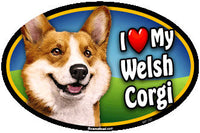 I Love My Welsh Corgi Pet Magnet