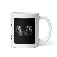 Florida Burrowing Owls White Glossy Mug